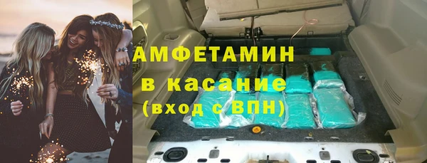индика Волоколамск