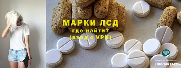 индика Волоколамск