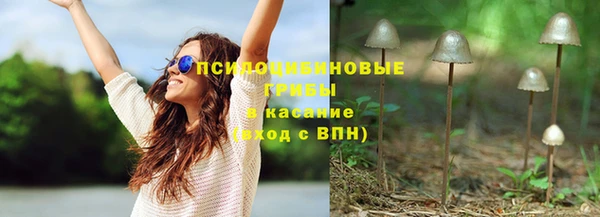 дживик Сосновка