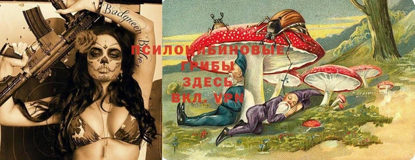 индика Волоколамск