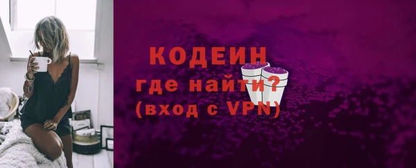 индика Волоколамск
