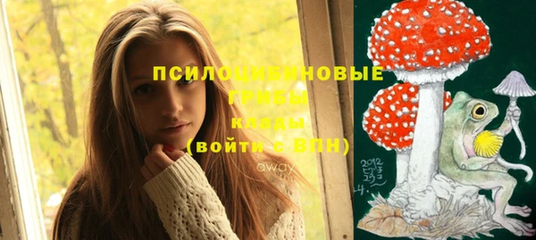 спайс Сосновый Бор