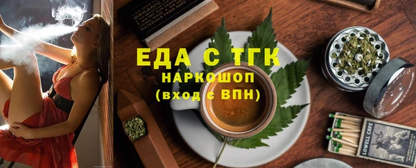 индика Волоколамск