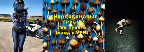 индика Волоколамск