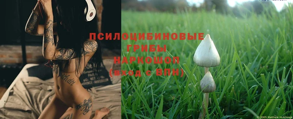 индика Волоколамск