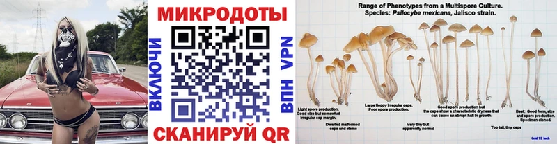 Галлюциногенные грибы GOLDEN TEACHER  Губаха 